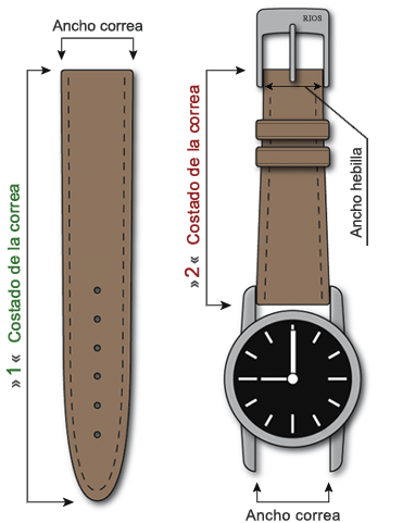 Longitud y Anchura - Correa de Reloj